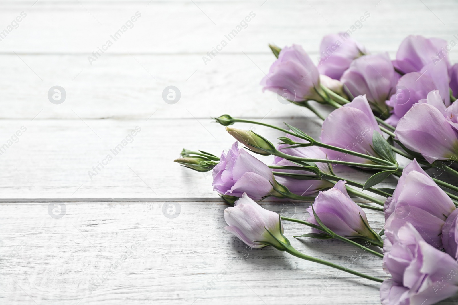 Photo of Beautiful fresh Eustoma flowers on white wooden table, space for text