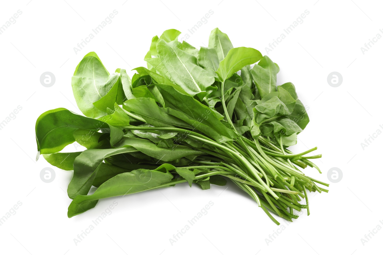 Photo of Bunch of fresh green sorrel leaves on white background