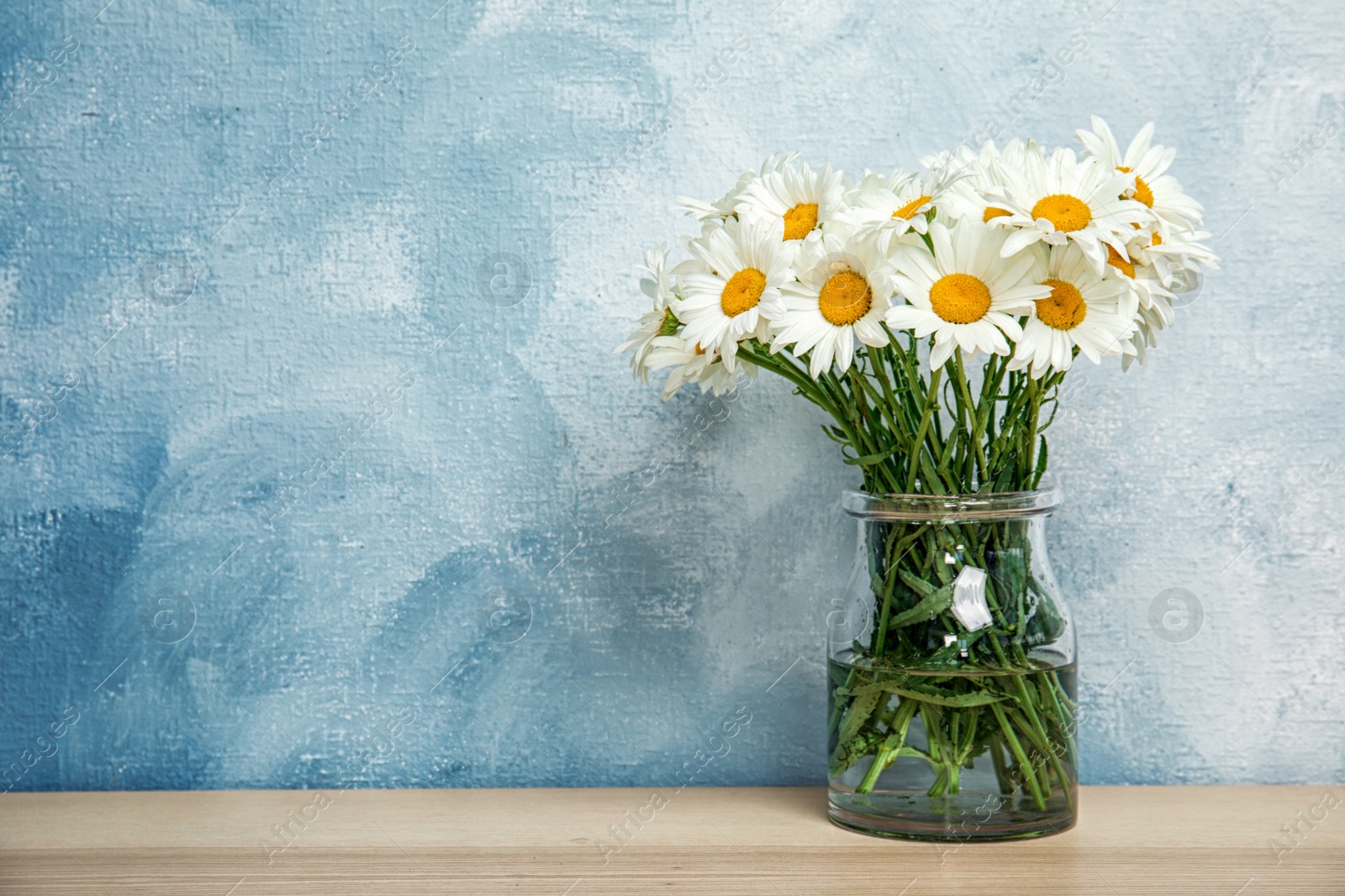 Photo of Vase with beautiful chamomile flowers on table against color background