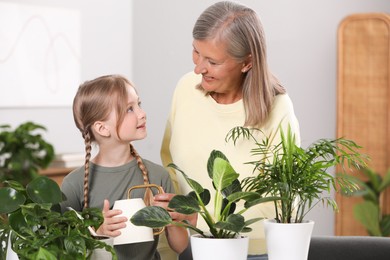 Photo of Grandmother with her granddaughter watering houseplants together at home