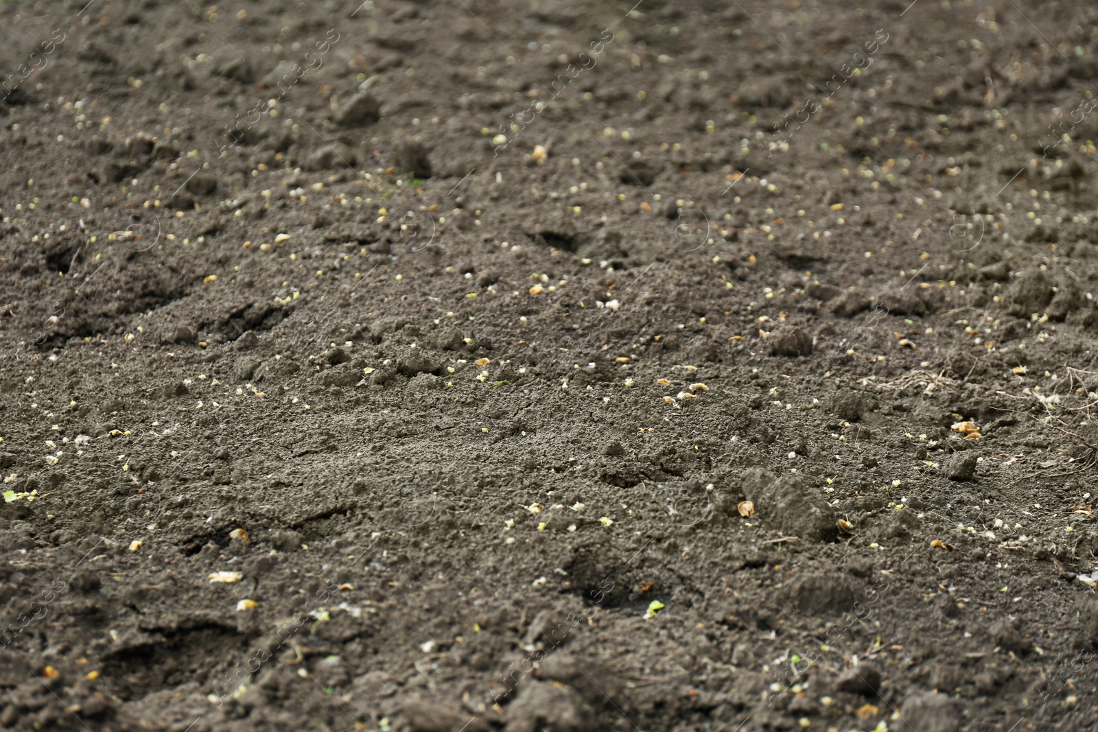 Photo of Textured ground surface as background, closeup. Fertile soil for farming and gardening