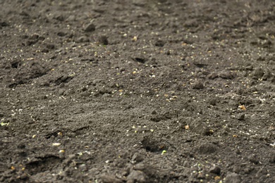 Textured ground surface as background, closeup. Fertile soil for farming and gardening