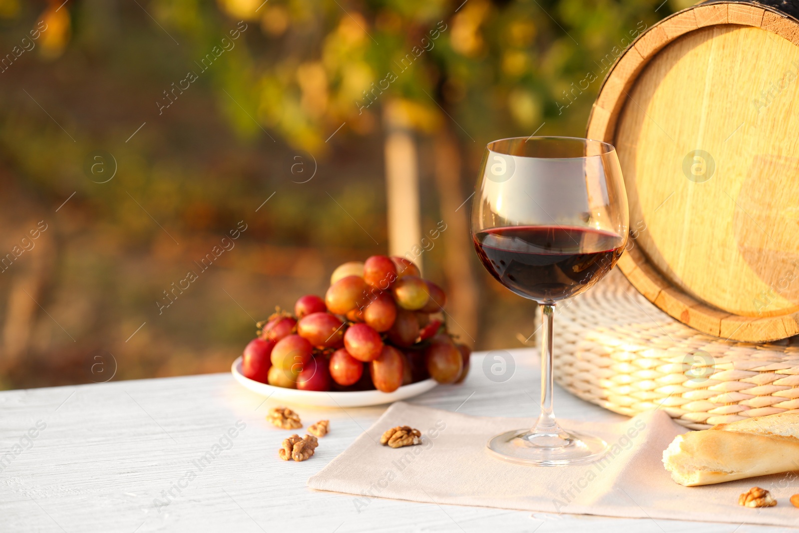 Photo of Composition with wine and snacks on white wooden table at vineyard