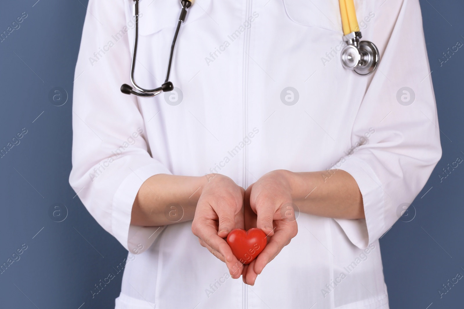 Photo of Doctor holding small heart, closeup. Prevent heart attack