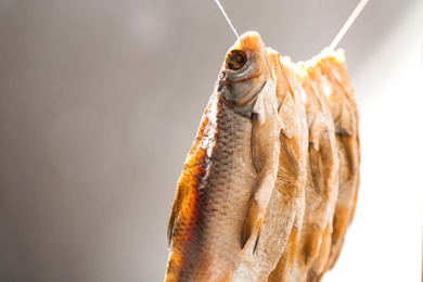 Photo of Tasty dried fish hanging on rope, closeup