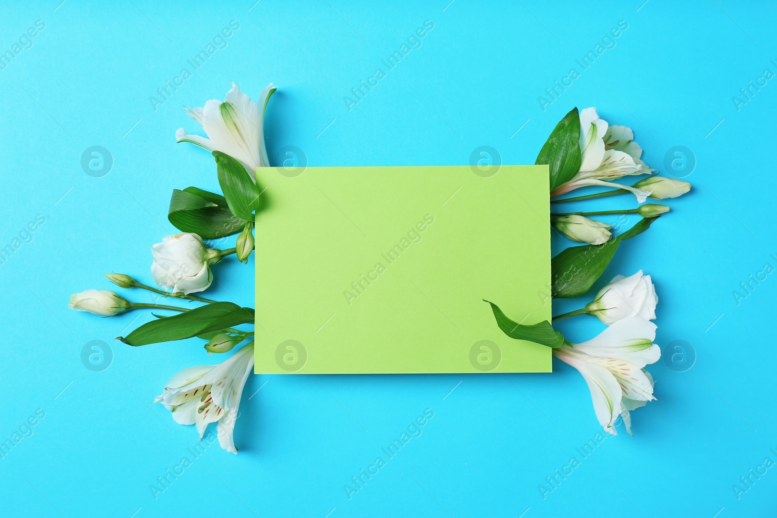 Photo of Empty greeting card with flowers on color background, top view. Space for text