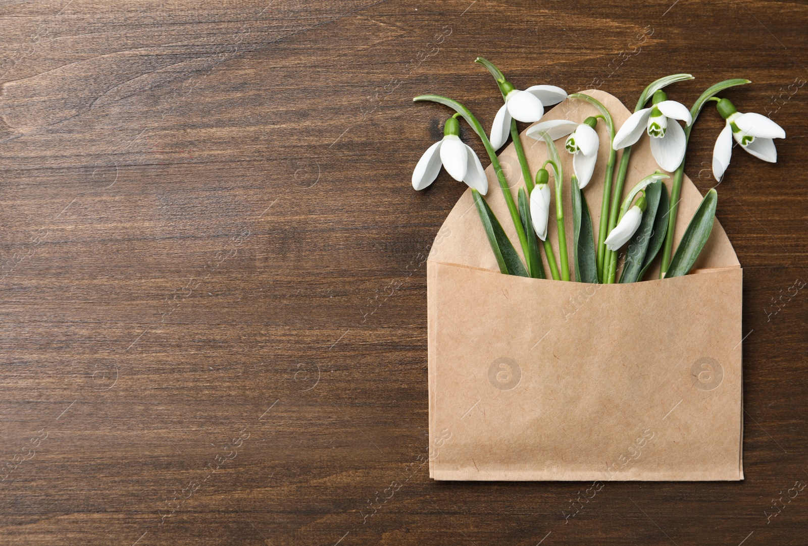 Photo of Beautiful snowdrops in envelope on wooden table, top view. Space for text