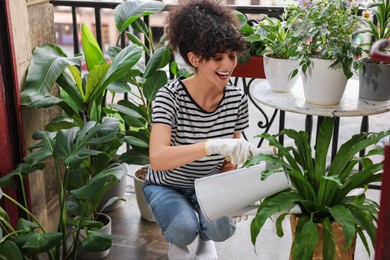 Photo of Happy young woman watering green potted houseplants on balcony