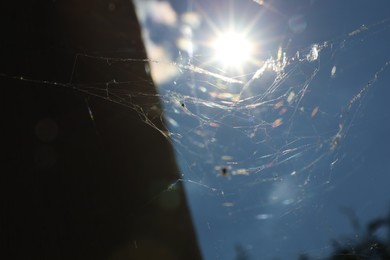 Photo of Cobweb against blue sky outdoors on sunny day, low angle view