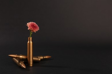 Photo of Bullets and cartridge case with beautiful flower on black background. Space for text