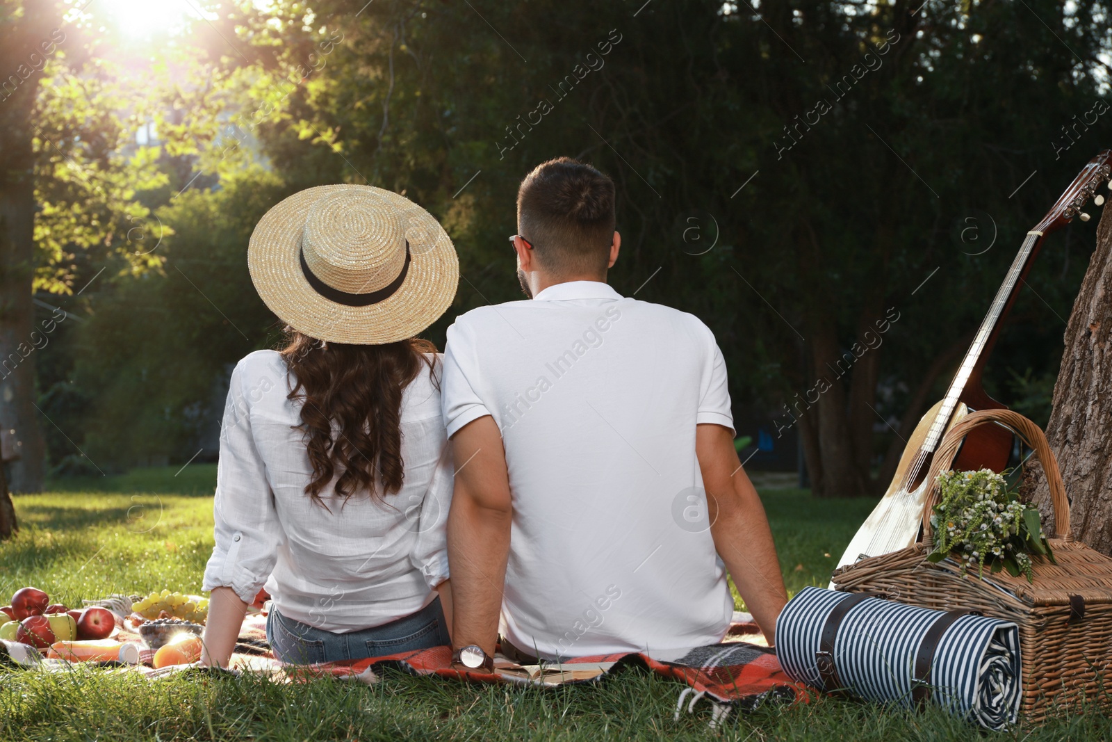 Photo of Lovely couple having picnic on plaid in summer park, back view