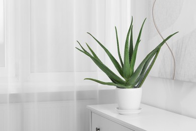 Green aloe vera in pot on chest of drawers indoors, space for text