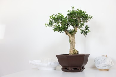 Photo of Beautiful bonsai tree in pot and decor elements on table against light wall, space for text