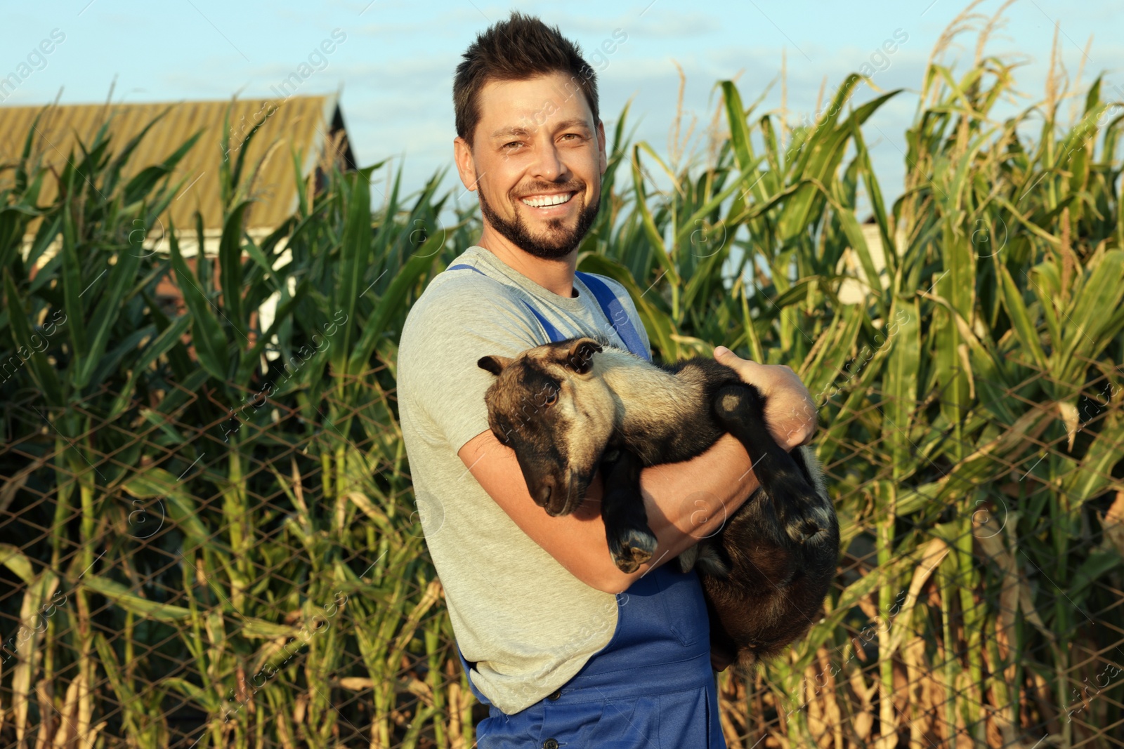 Photo of Man with goat at farm. Animal husbandry