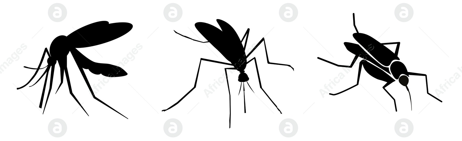 Image of Set of black mosquitoes on white background, banner design. Illustration