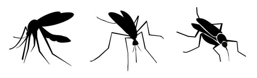 Image of Set of black mosquitoes on white background, banner design. Illustration