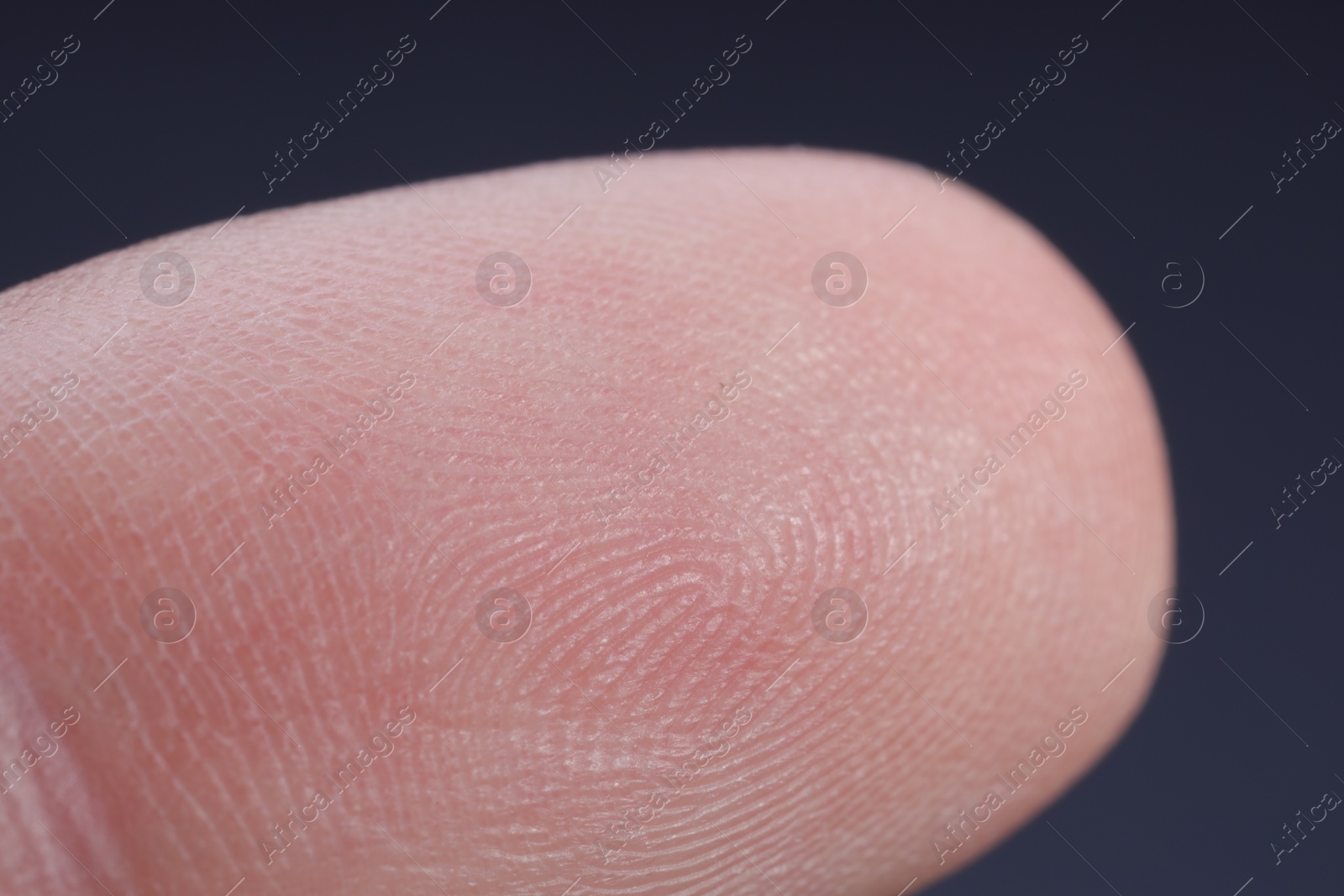 Photo of Finger with friction ridges on dark background, macro view