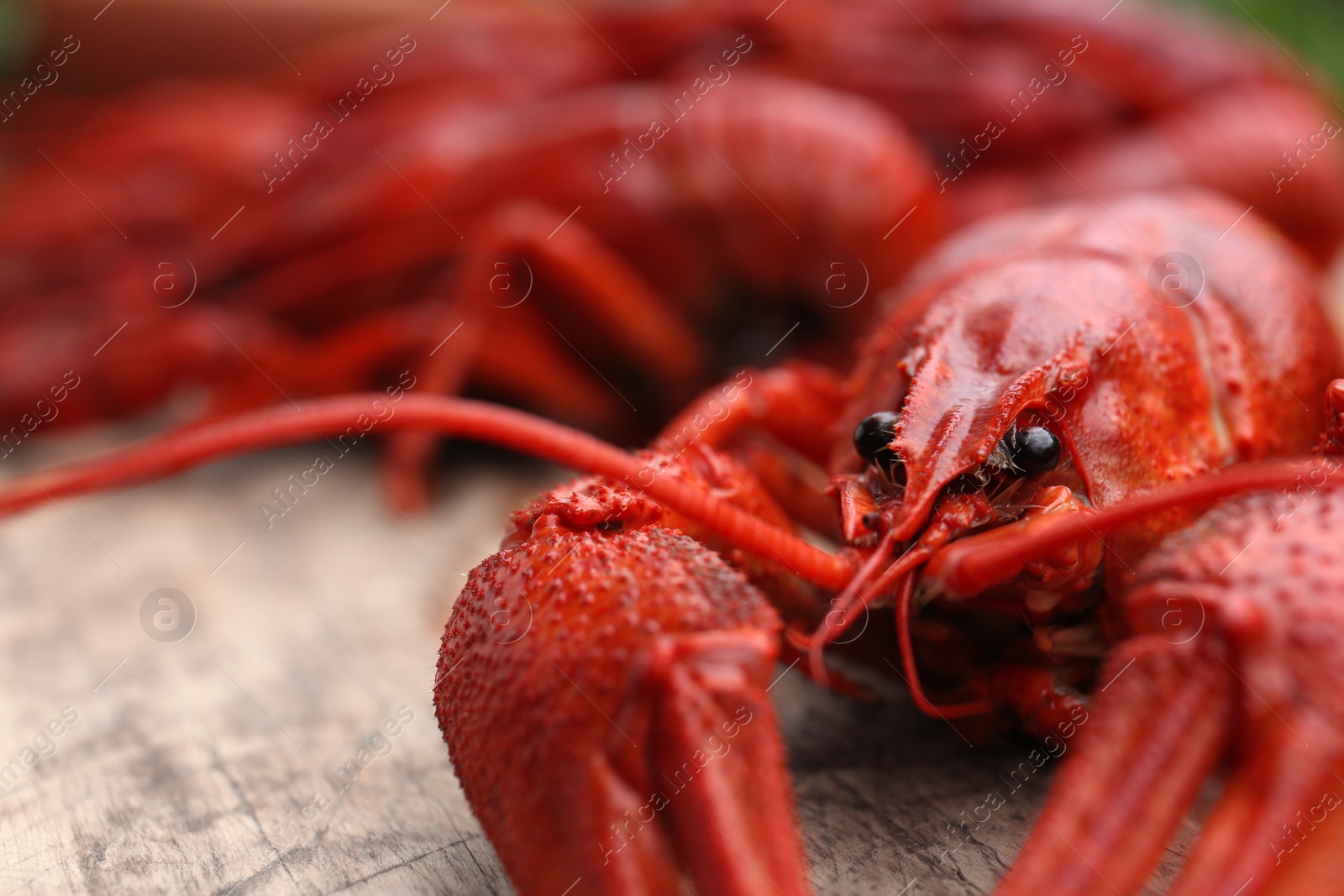 Photo of Delicious red boiled crayfish on wooden table, closeup