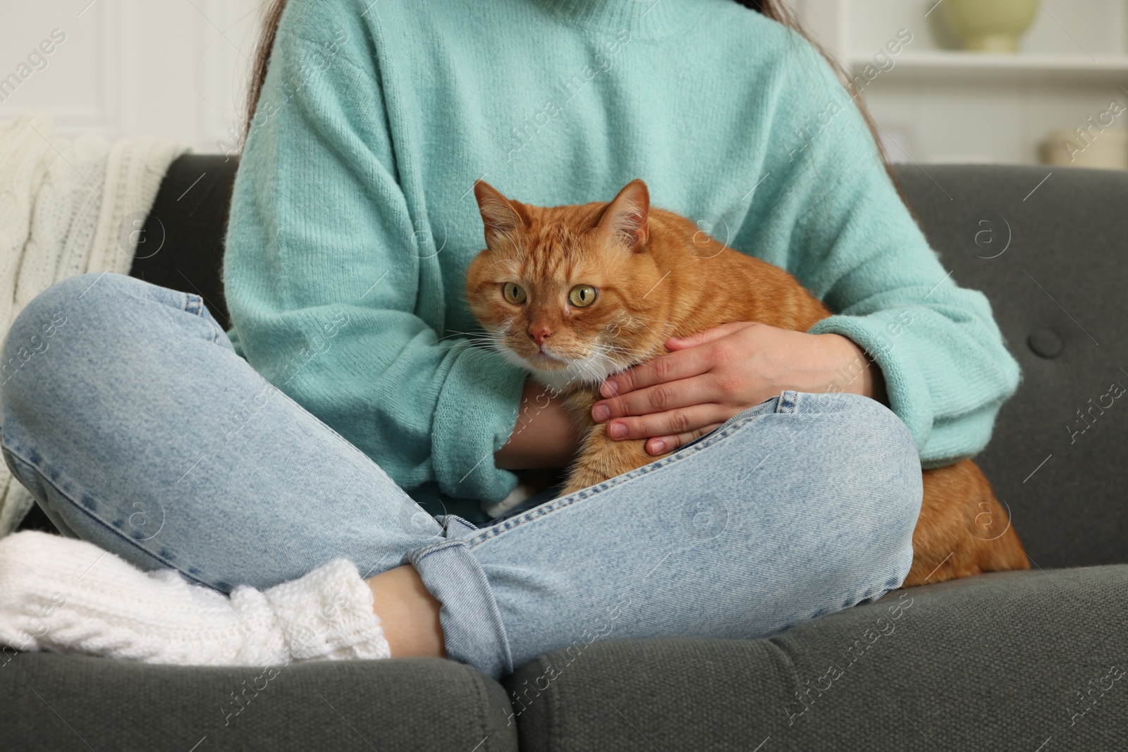 Photo of Woman petting cute cat on sofa at home, closeup