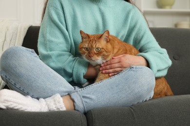 Woman petting cute cat on sofa at home, closeup