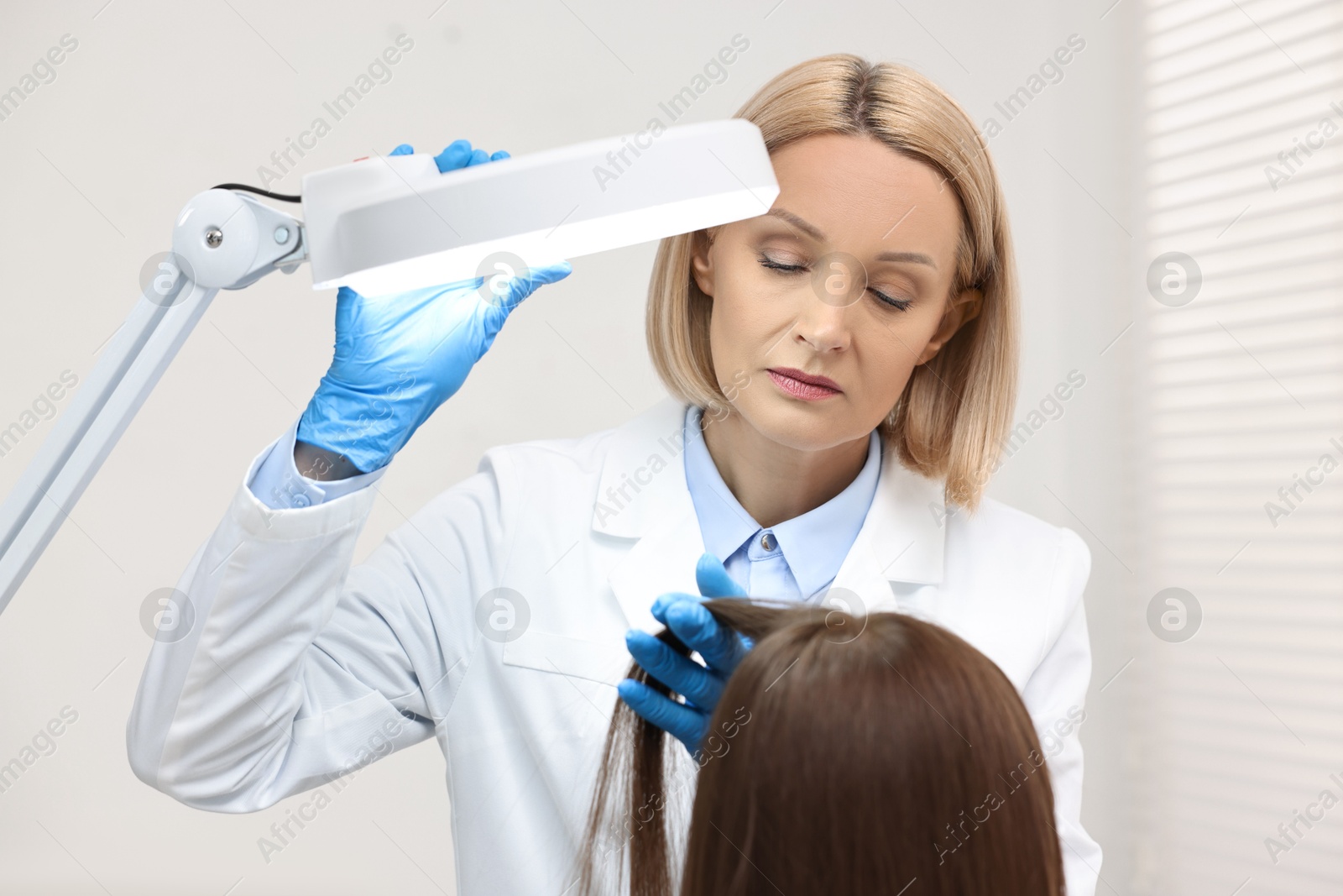 Photo of Trichologist examining patient`s hair under lamp in clinic