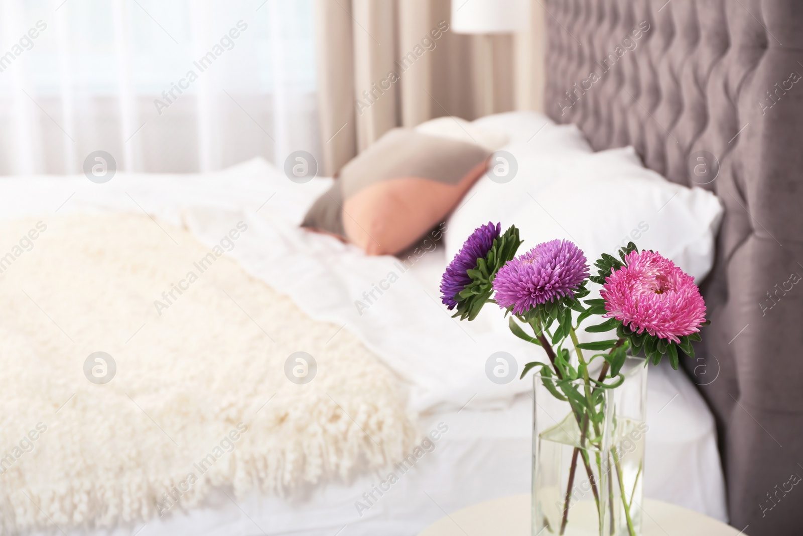 Photo of Beautiful flowers in vase and space for text on blurred background. Element of interior design