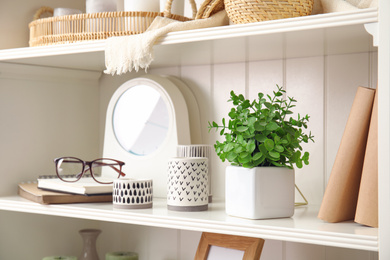 White shelving unit with plant and different decorative stuff