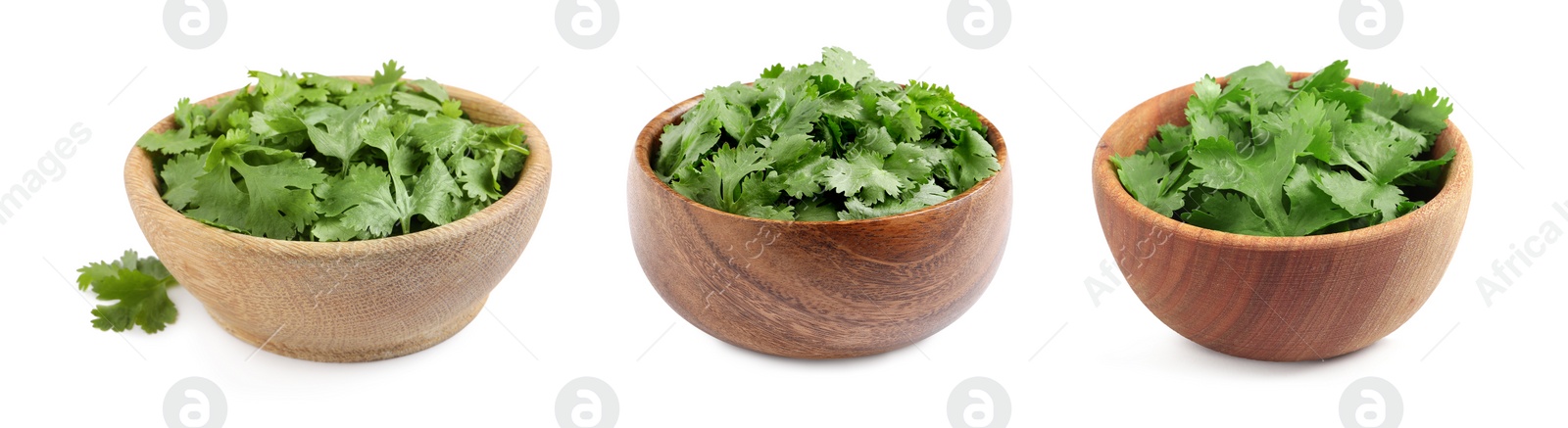 Image of Set with fresh coriander leaves on white background. Banner design