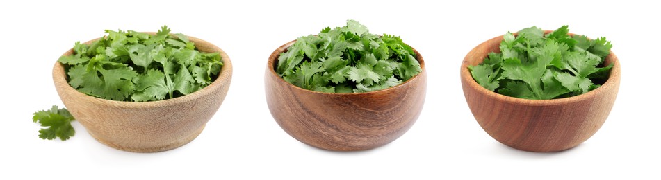 Set with fresh coriander leaves on white background. Banner design