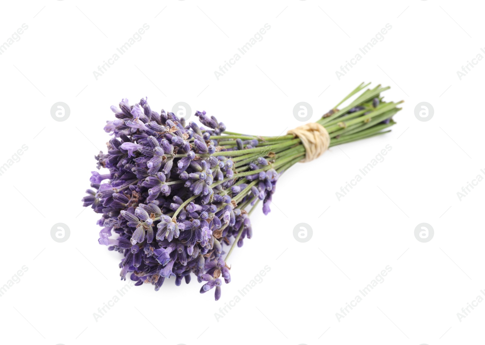 Photo of Beautiful bouquet of lavender flowers on white background