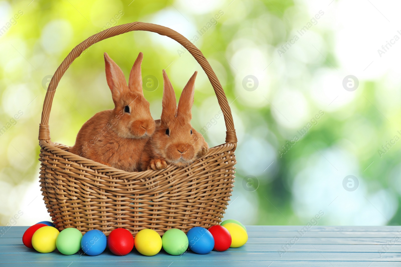 Image of Adorable bunnies in wicker basket and Easter eggs on wooden surface outdoors, space for text