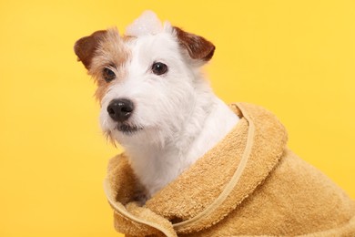 Photo of Portrait of cute dog in towel with shampoo foam on head against yellow background