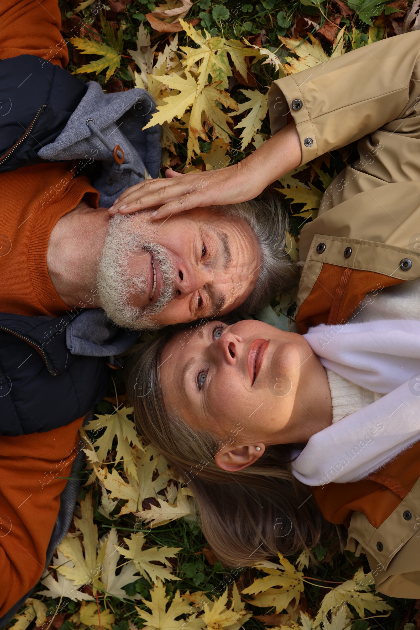 Photo of Portrait of affectionate senior couple on ground with autumn dry leaves outdoors, top view