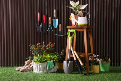Beautiful plants, gardening tools and accessories on green grass near wood slat wall