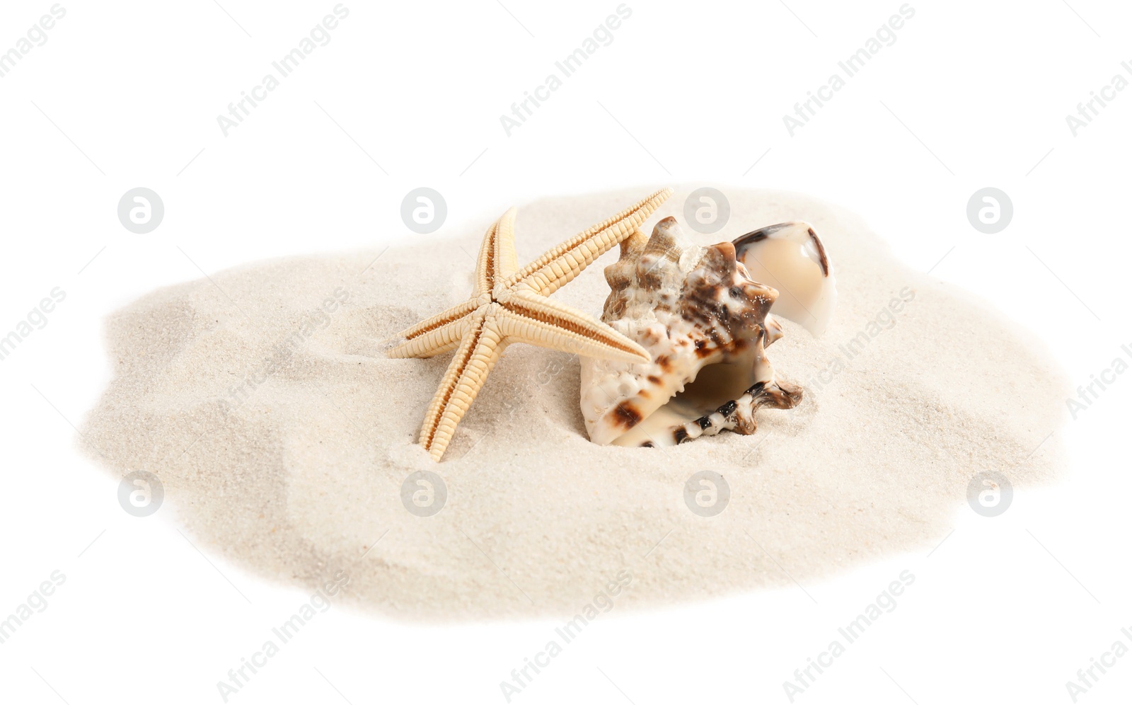 Photo of Pile of beach sand with beautiful starfish and sea shells on white background