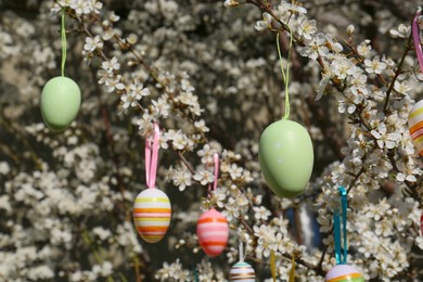 Beautifully painted Easter eggs hanging on blooming cherry tree outdoors