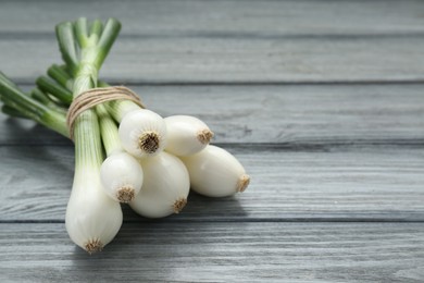 Photo of Bunch of green spring onions on grey wooden table, closeup. Space for text