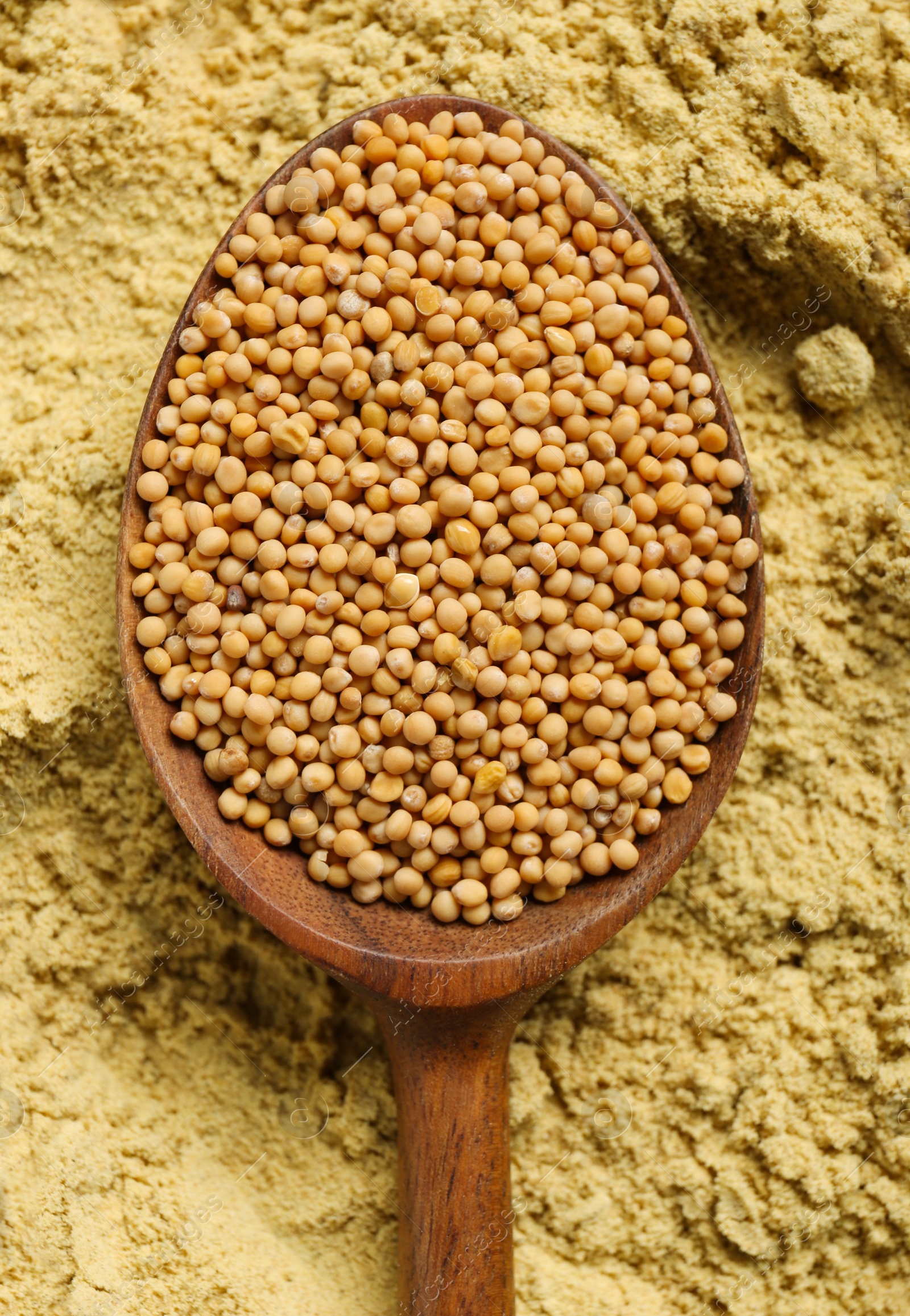 Photo of Wooden spoon of seeds on mustard powder, top view