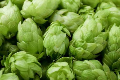 Fresh ripe green hops as background, closeup