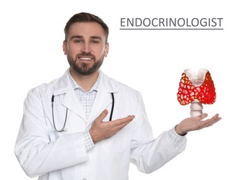 Endocrinologist holding thyroid illustration on white background