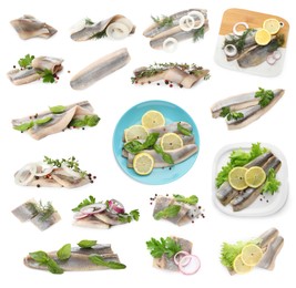 Image of Set with delicious salted herring fillets on white background