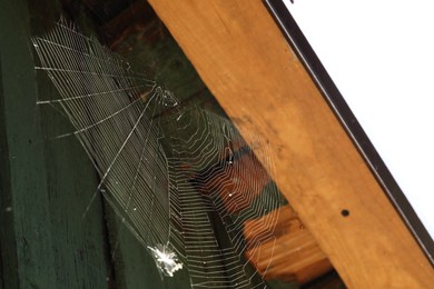 Cobweb on wooden building outdoors, low angle view