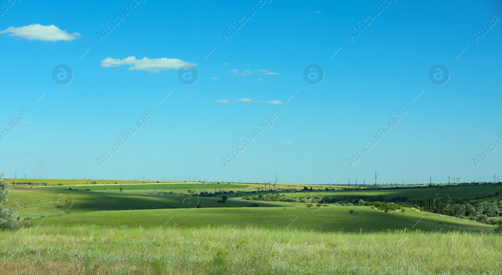 Photo of Beautiful landscape with green grass on sunny day