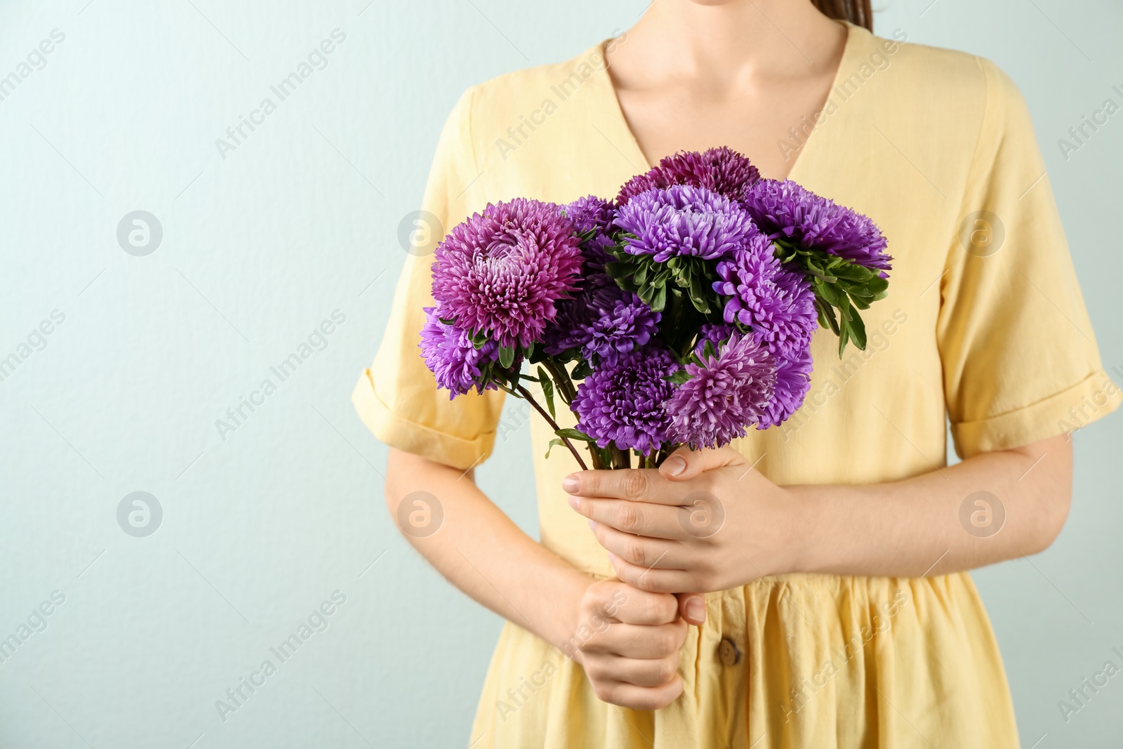 Photo of Woman with bouquet of beautiful asters on light background, closeup. Autumn flowers