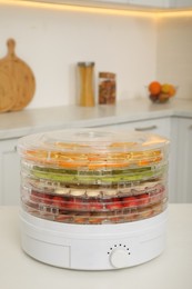 Dehydrator machine with different fruits and berries on white table in kitchen
