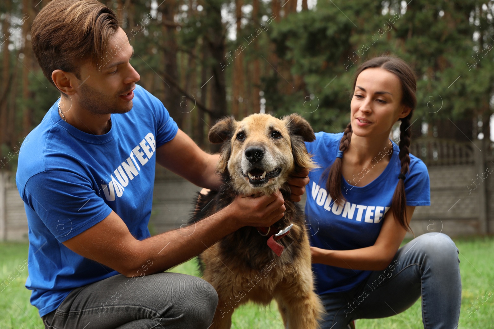 Photo of Volunteers with homeless dog at animal shelter outdoors