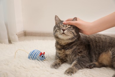 Photo of Woman stroking her grey tabby cat at home, closeup with space for text. Cute pet
