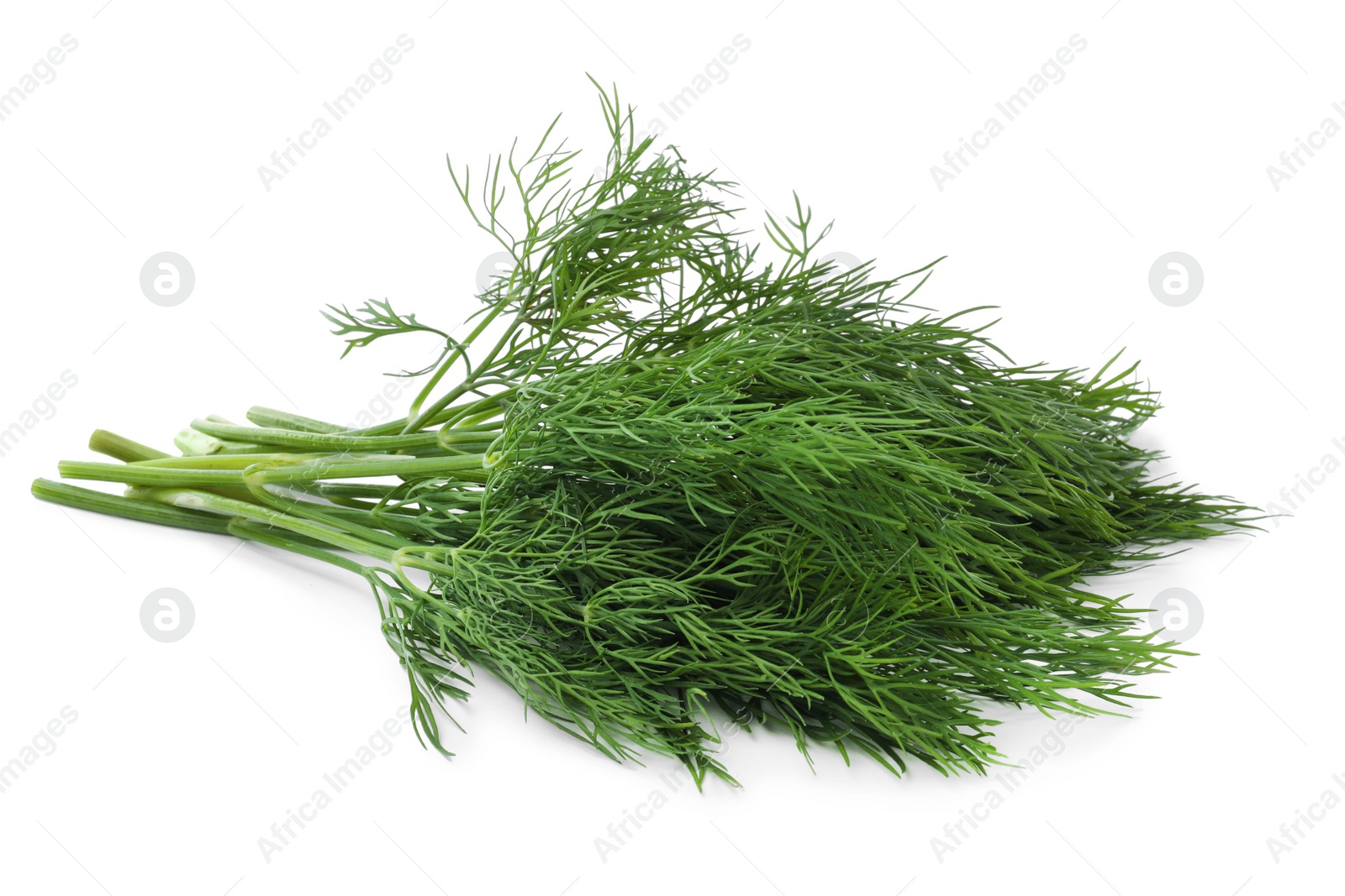 Photo of Bunch of fresh dill isolated on white