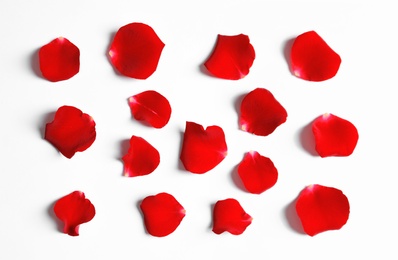 Red rose petals on white background, top view