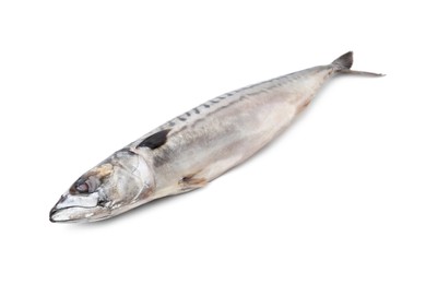 Photo of One tasty salted mackerel isolated on white